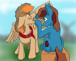 askspades:Guess which little blue horse is