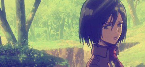 Happy birthday to Mikasa Ackerman (02.10.2015)Protect her at all costs<3