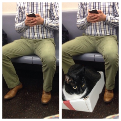 Awesome Tumblr Alert! Saving Room For Cats“Men love to take up so much space and spread their legs w