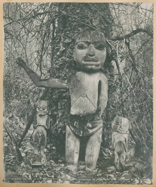 dame-de-pique:Arthur C. Pillsbury - Three carved Tlingit figures under tree, Klukwan, Alaska, c. 189