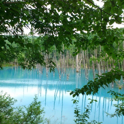 instagram:Hokkaido, Japan’s Iridescent Blue Pond (青い池)See more photos from Hokkaido’s Blue Pond by v