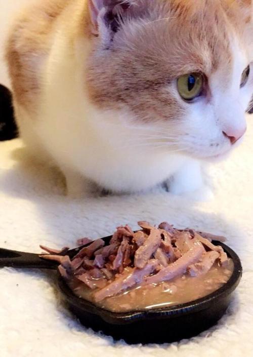 I accidentally ordered a tiny skillet so we made the best of it