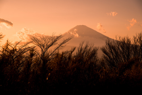 visting hakone by train - march 2019