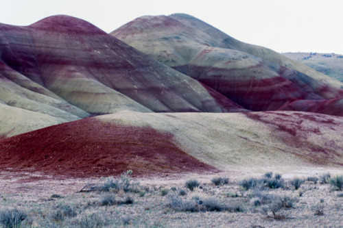 trnscndnt:  A Double Dip? by David Martin