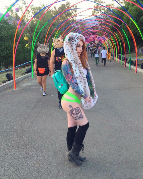 tattinitup:  More here Tattin’ It Up