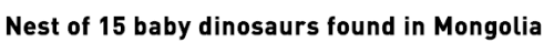 sixpenceee:In 2011, David Fastovsky, a University of Rhode Island (URI) paleontologist, described a 