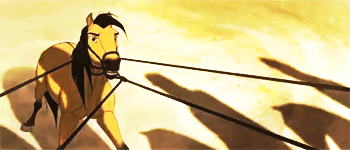 spiritstallion:  .. because we never really move on, we never really forget. 