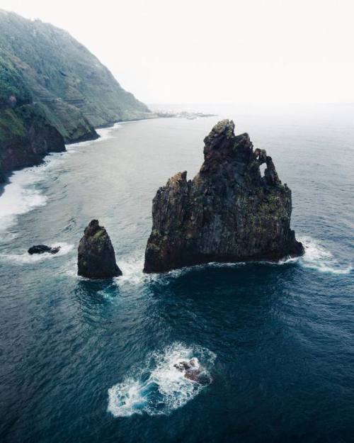 wanderthewood:Madeira, Portugal by robinxbenjamin