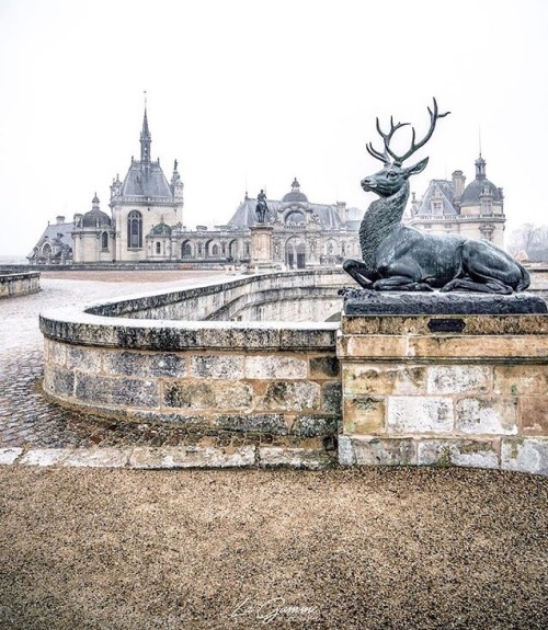 latouchefr - Parc de Chantilly....