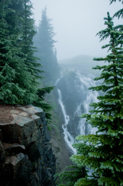 vhord:  touchdisky:  Fog  ShawnH.   strictly nature