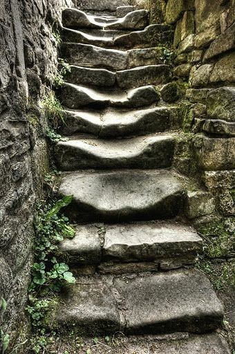 How many stories these stairs could share. Smoothed from trodden soles long departed.