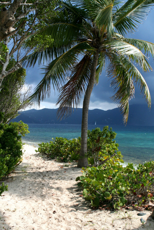 breathtakingdestinations:   British Virgin Islands - Caribbean (by anoldent)