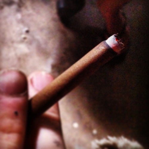 whitemike-qc:  Blunts on blunts