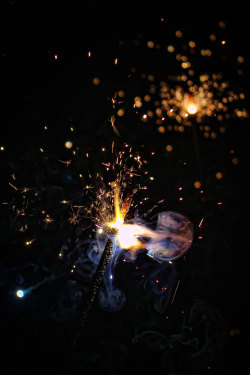 plasmatics-life:  Ephemeral Smoke ~ By Arnav Sengupta