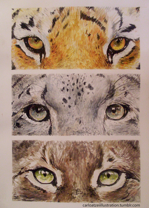 carloatzeiillustration:  Eyes of Wild Cats: porn pictures