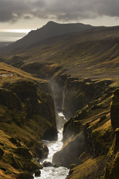 ternpest:  (via 500px / realm of fairies and elves by Tobias Guter) 