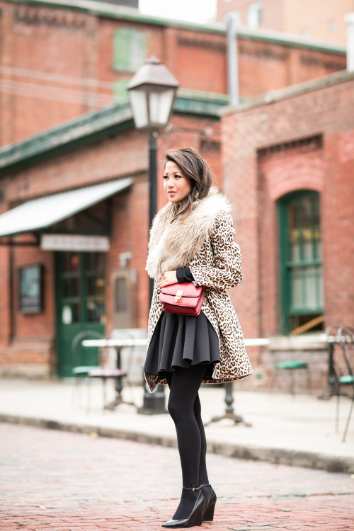 Falling for Fall :: Leopard coat & Flare skirt : Wendy’s Lookbookfrom HeelsFetishism
