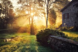 woodendreams:  Monts du Forez, France (by Florent Courty)