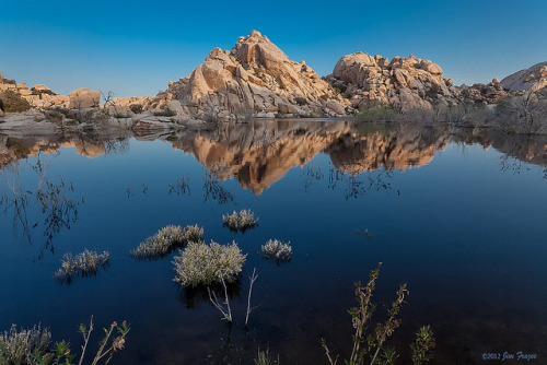 Morning Breaks on Barker Dam - Joshua Tree National Park by SARhounds on Flickr.