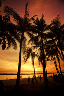 lifeisverybeautiful:  Golden Sunset by chapterthree on Flickr.Hawaii