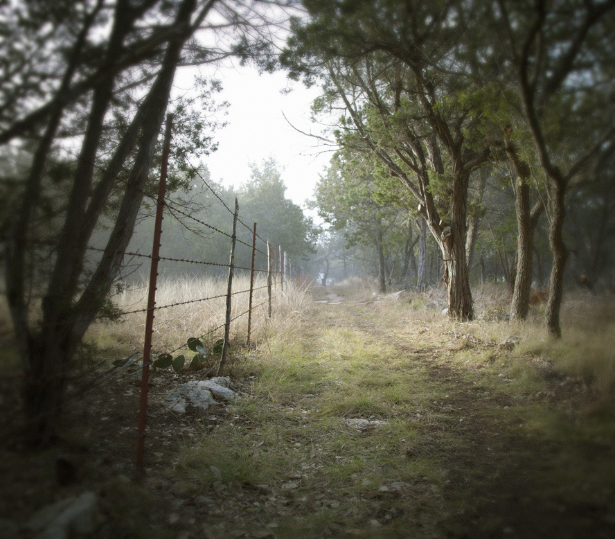 momatalks:    Sunday Post: The Path   The path of our lives was worn in the dirt
