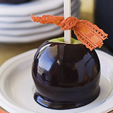      foodxpron: colors - BLACK     