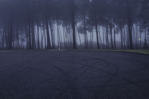 michaelwwilson-blog: Decent fog around the suburbs of Perth this morning. June, 2018.