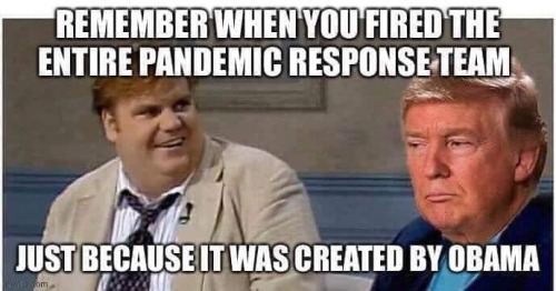 trump is a douche, but bush created the NSC pandemic response team, which was then continued by obam