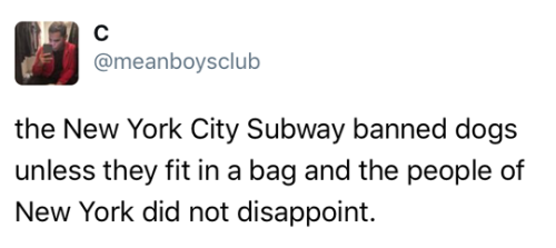 soloshikigami:  thunderboltsortofapenny:  mypissedoffsandwich:  tastefullyoffensive: (via meanboysclub)  The last one   Also good on these people for taking the aggressively petty route instead of falsely registering their pets as service animals   And