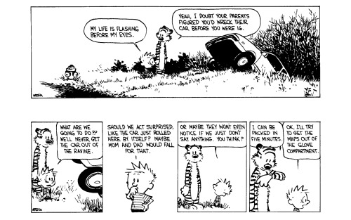 Calvin wrecks his parents&rsquo; car, Part 2. Part 1 here.