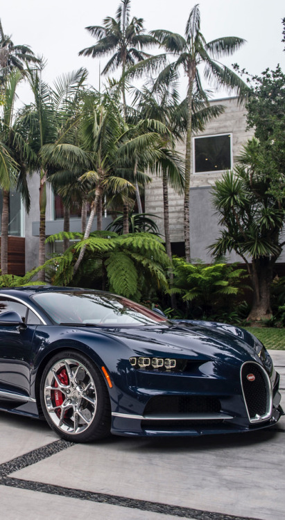 epicexotics: Be sure to visit www.youtube.com/sgfreak96 for more awesome car videos! Follow @