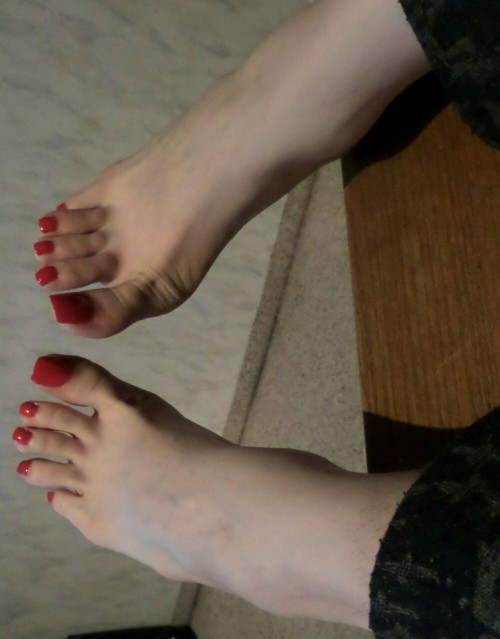 maturetransfeet: my-sexy-feet-and-my-hard-cock:My Feet on the Table  I am a new of these feet