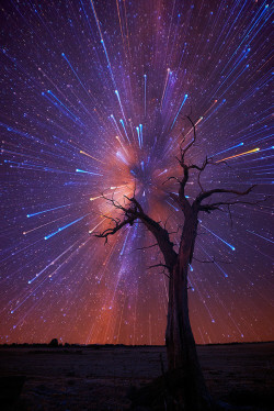 pyrakub: moon83:  Startrails by Lincoln Harrison   Beautiful. 