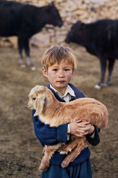 awesome-picz: Photographs That Explore The Relationship Between Animals And Humans By Steve McCurry 