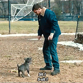 tomlhardy:Tom Hardy failing at training a dog and winning my heart.