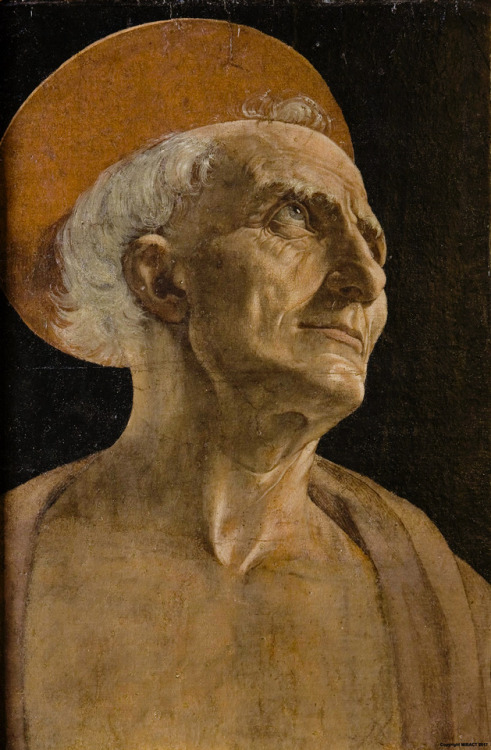 Andrea del Verrocchio, San Girolamo, 15th century