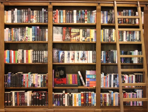 tilly-and-her-books: my main shelf! 