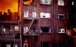 robertdeniro:  “We’ve become a race of Peeping Toms. What people ought to do is get outside their own house and look in for a change. Yes sir. How’s that for a bit of homespun philosophy?”Rear Window (1954) dir. Alfred Hitchcock