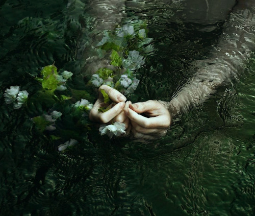 Earth teach me to forget myself as melted snow forgets its life. Earth teach me resignation as the l