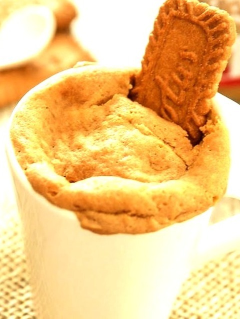4 Ingredient Cookie Butter Mug Cake