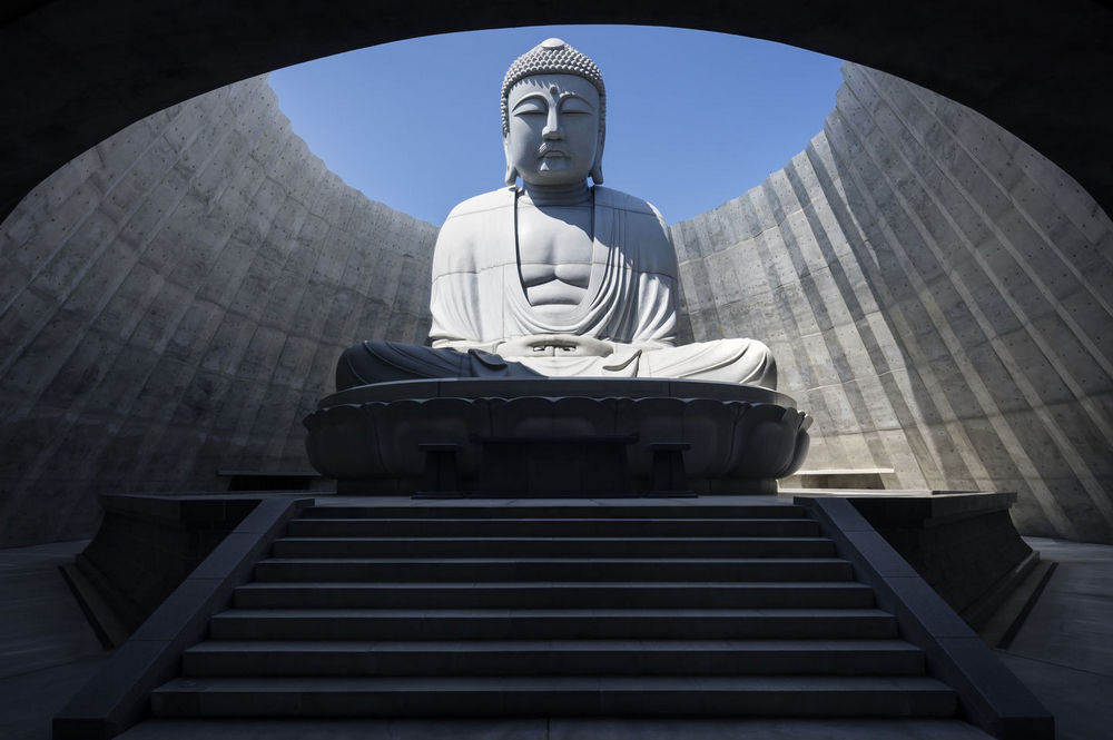 culturenlifestyle:  Statue of Buddha Hidden Amidst Hundreds of Lavender PlantsArchitect