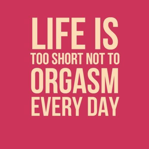 alaskanindianprincess:  dangerously-wett:  shhh—ourlittlesecret:  missblissfreshstart:  Sir 💋  Amen!  Exactly