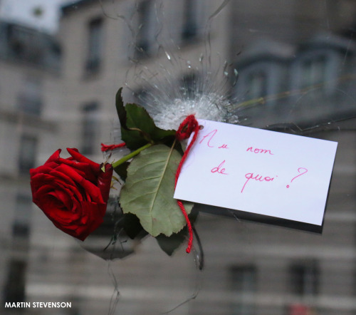 crossfitcandy: nbcnightlynews: A red rose hangs in a bullet hole with a card that reads, “In the n