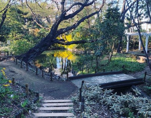 ＼おにわさん更新情報／ ‪[ 東京都文京区 ] 占春園 Senshunen Garden, Bunkyo-ku, Tokyo ――江戸時代初期に守山藩主・松平家の屋敷に作庭され、往時は“江戸三名園”と