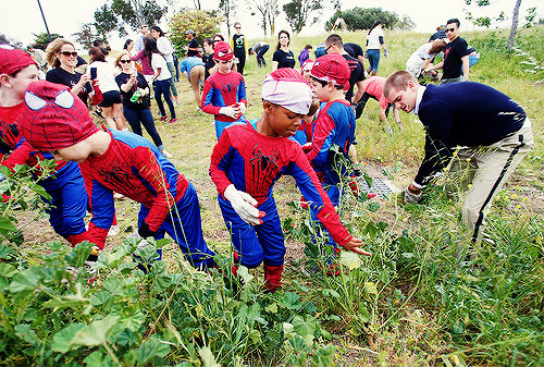 andrewgarfield-daily:  “The Amazing Spider-Man 2” cast joined Google employees