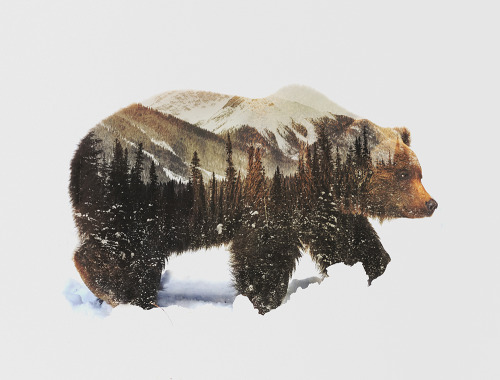 supersonicart: Andreas Lie on Society6.Andreas Lie’s breathtaking double exposure photographs 