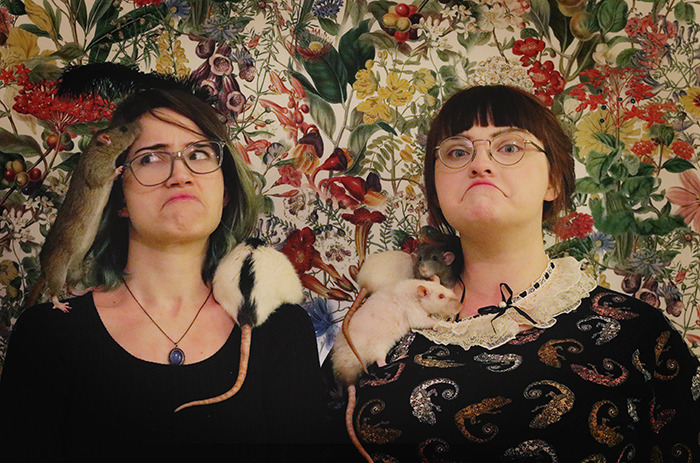 murmeldjur:  Trying to take some family photos. 