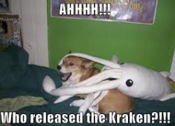 layilia:  How dare they release the Kraken