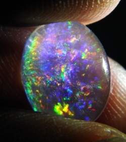 opal-porn:  Indonesian Opal 