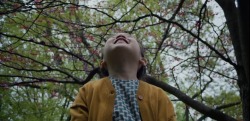 jasminejarss:After Yang (2022) dir. Kogonada